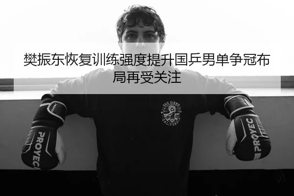 樊振东恢复训练强度提升国乒男单争冠布局再受关注